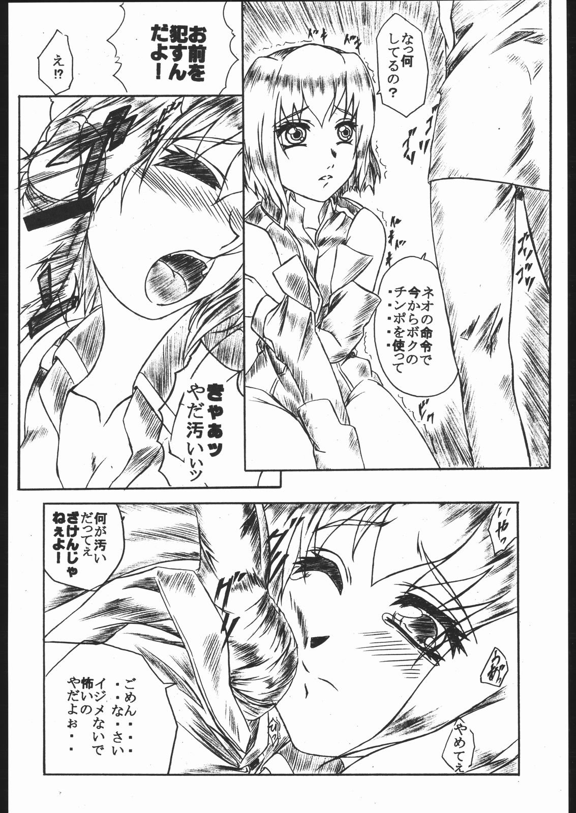 (C67) [姫庵 (みかん)] 裏・裏DESTINY (機動戦士ガンダムSEED DESTINY)