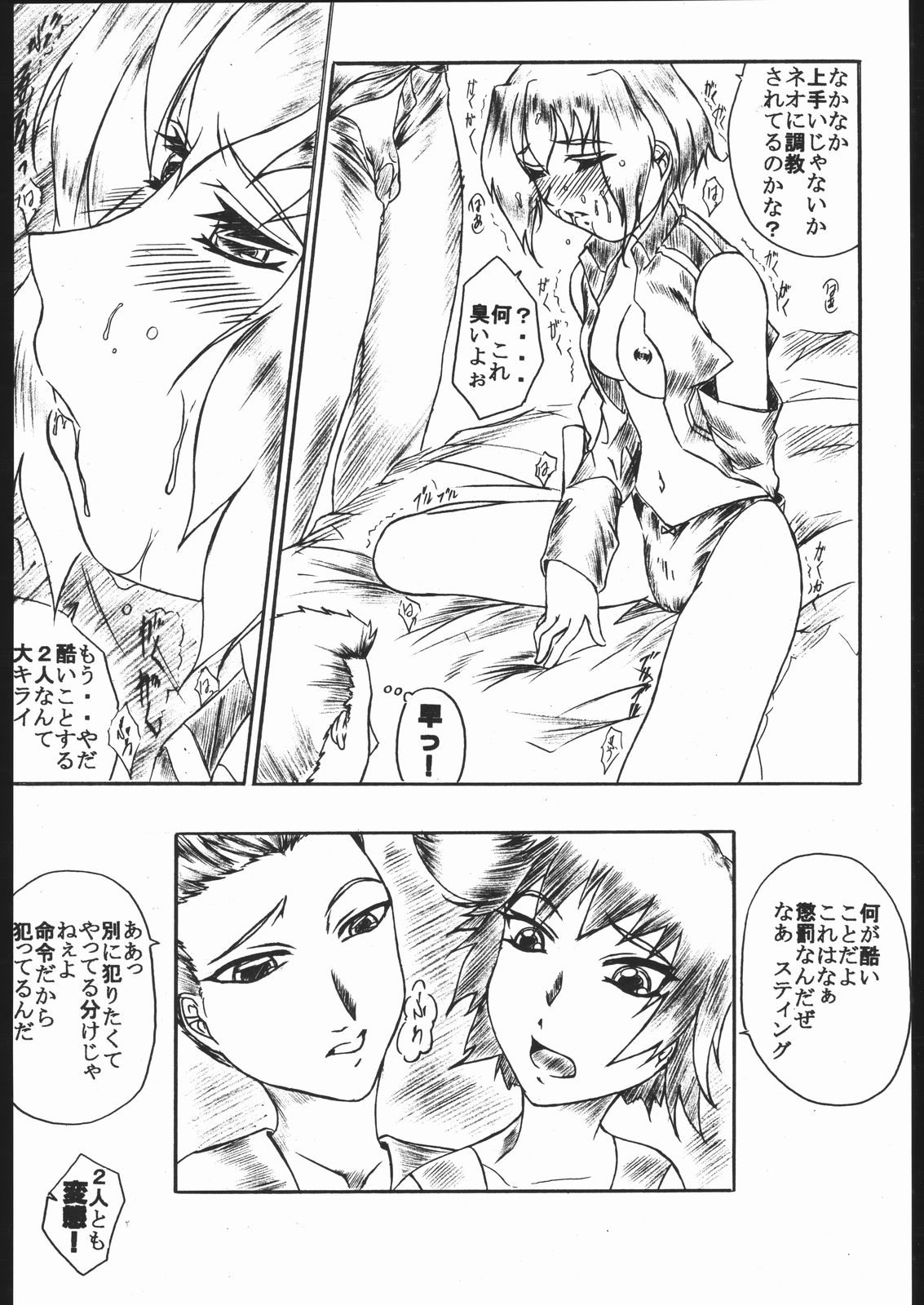 (C67) [姫庵 (みかん)] 裏・裏DESTINY (機動戦士ガンダムSEED DESTINY)