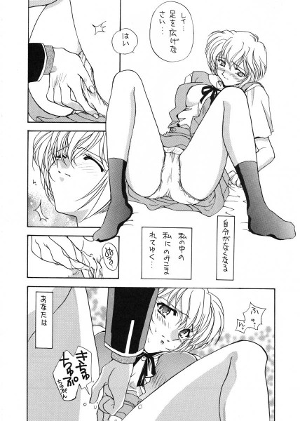 あいのいののアロメ1（矢野卓見）