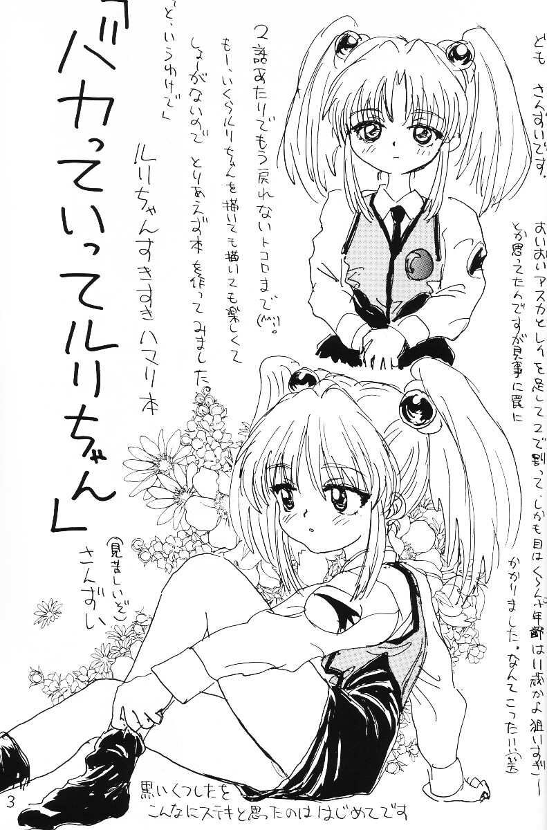 (CR20) [酸欠集 (さんずい)] バカって言ってルリちゃん (機動戦艦ナデシコ)