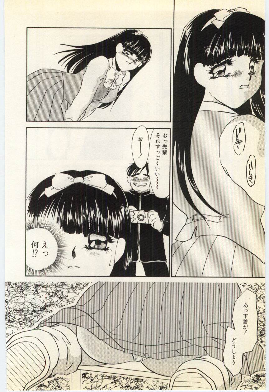 [海野やよい] 哀淫隷嬢