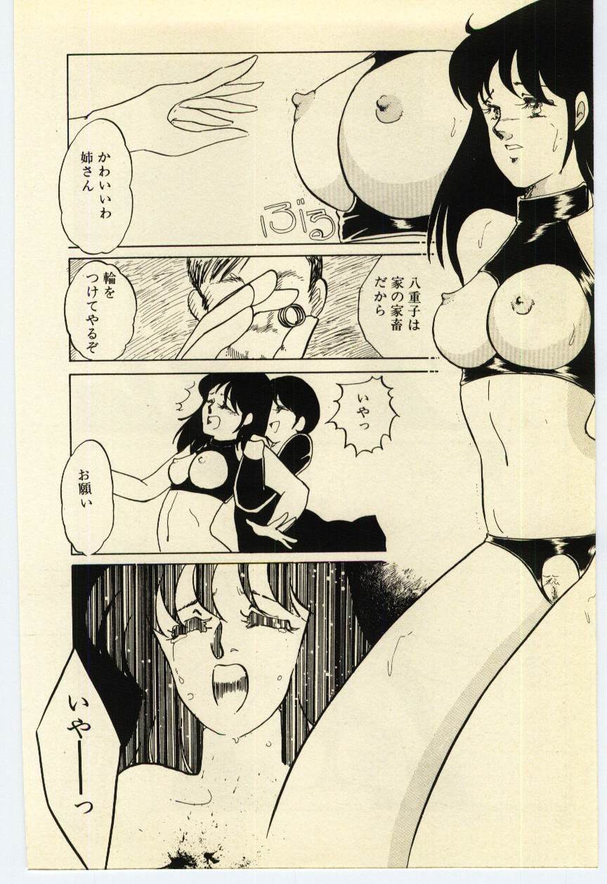 [海野やよい] 赤いハイヒール