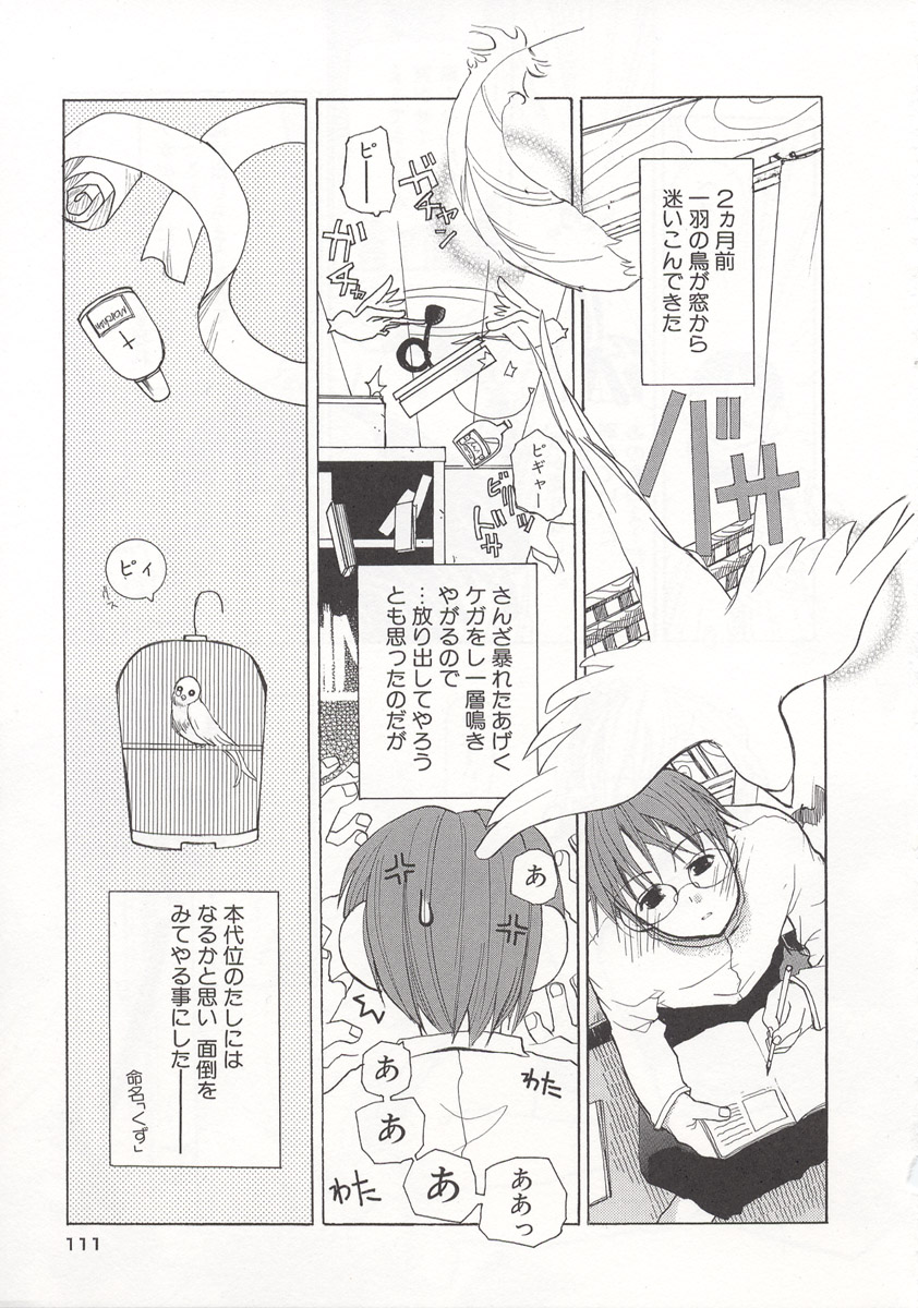 [水島空彦] ワイルドストロベリー
