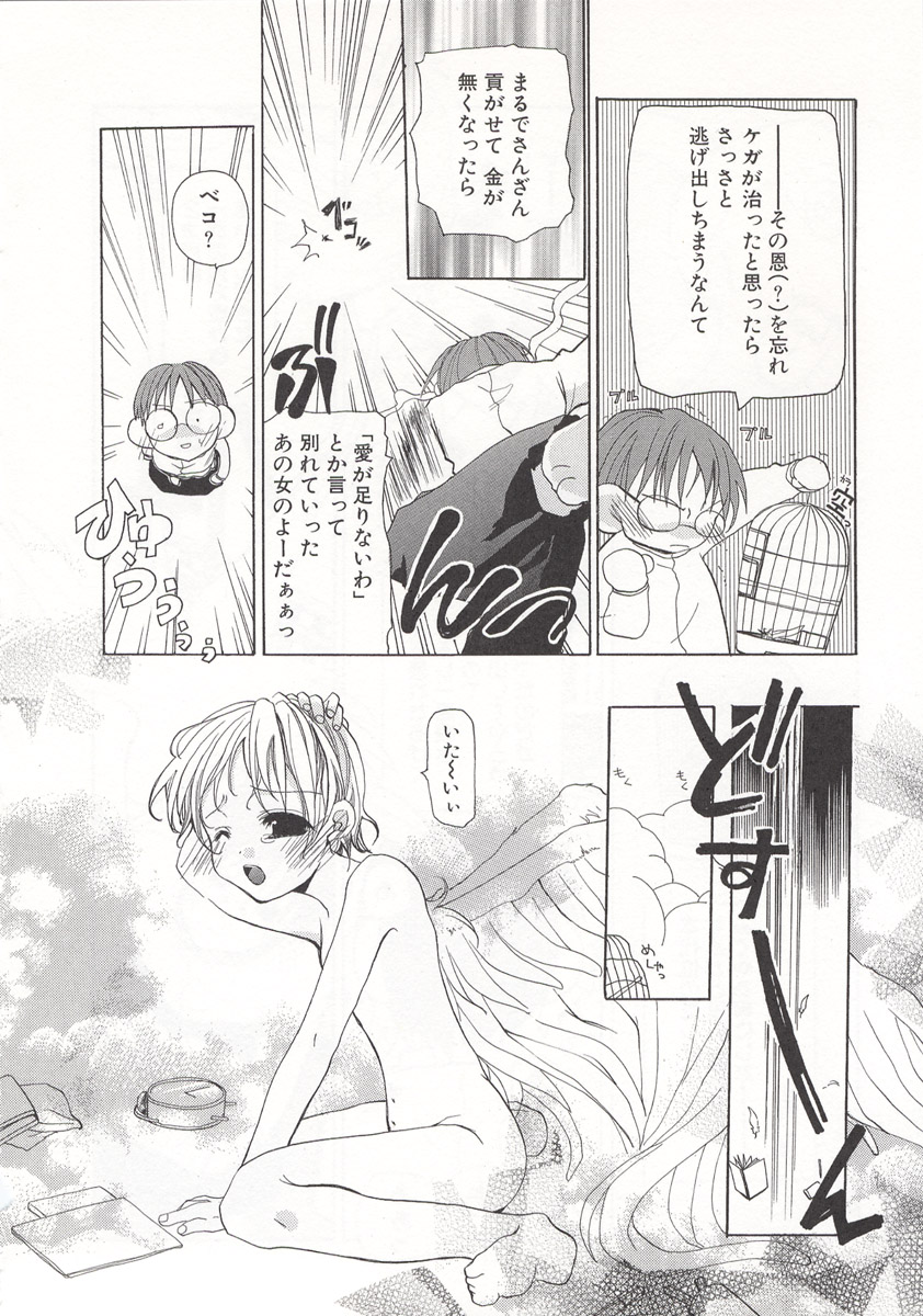 [水島空彦] ワイルドストロベリー