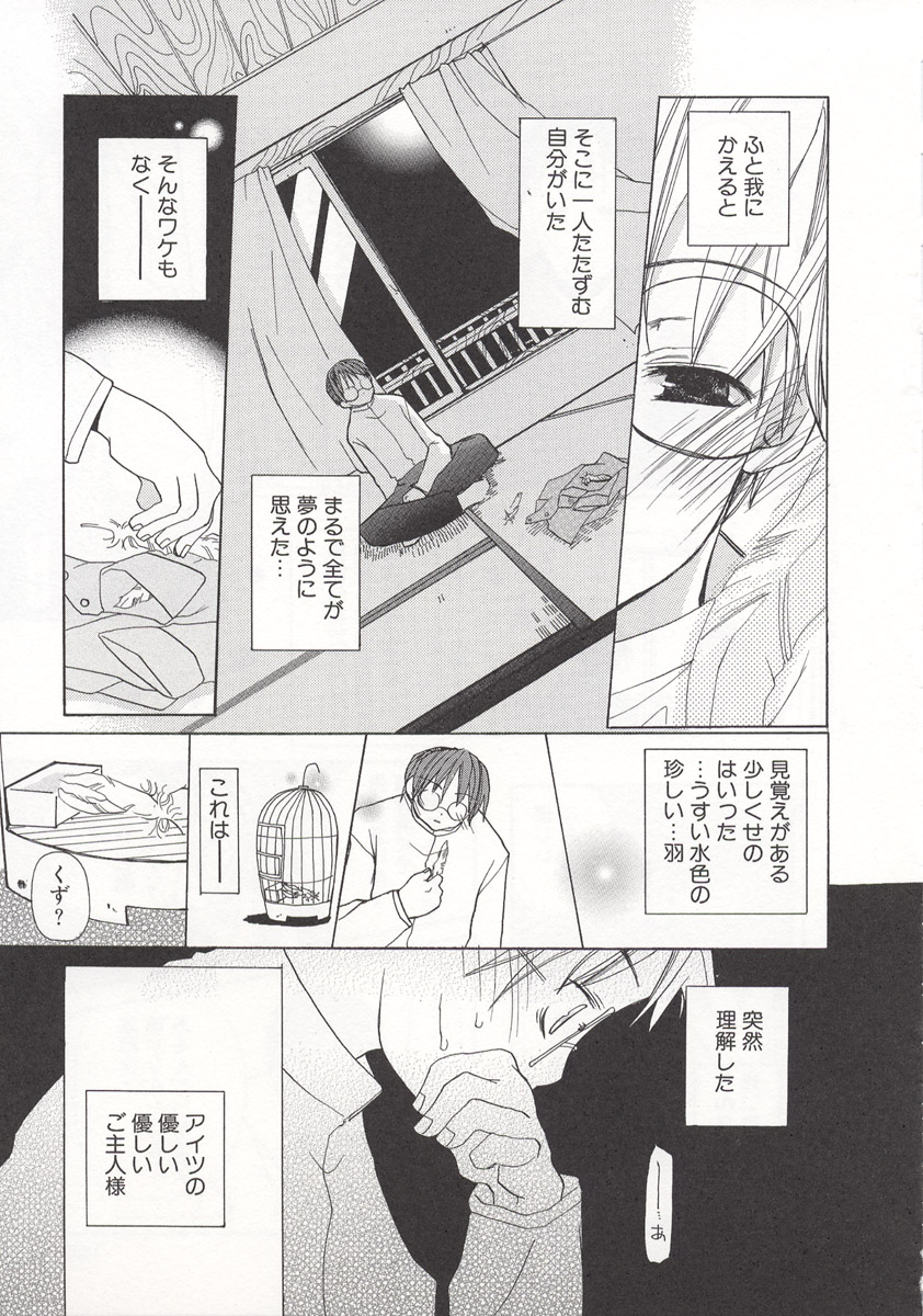 [水島空彦] ワイルドストロベリー