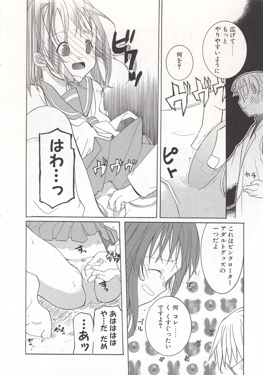 [水島空彦] ワイルドストロベリー