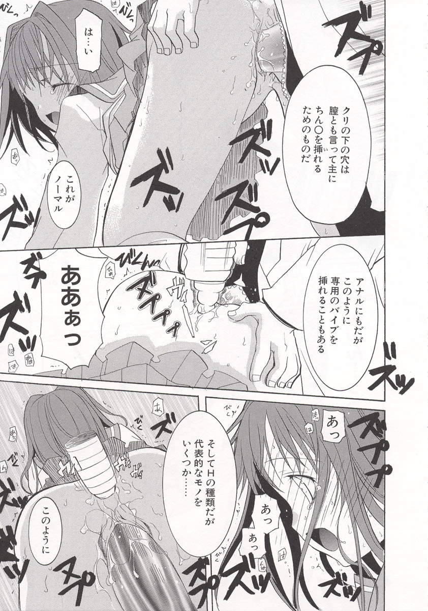 [水島空彦] ワイルドストロベリー