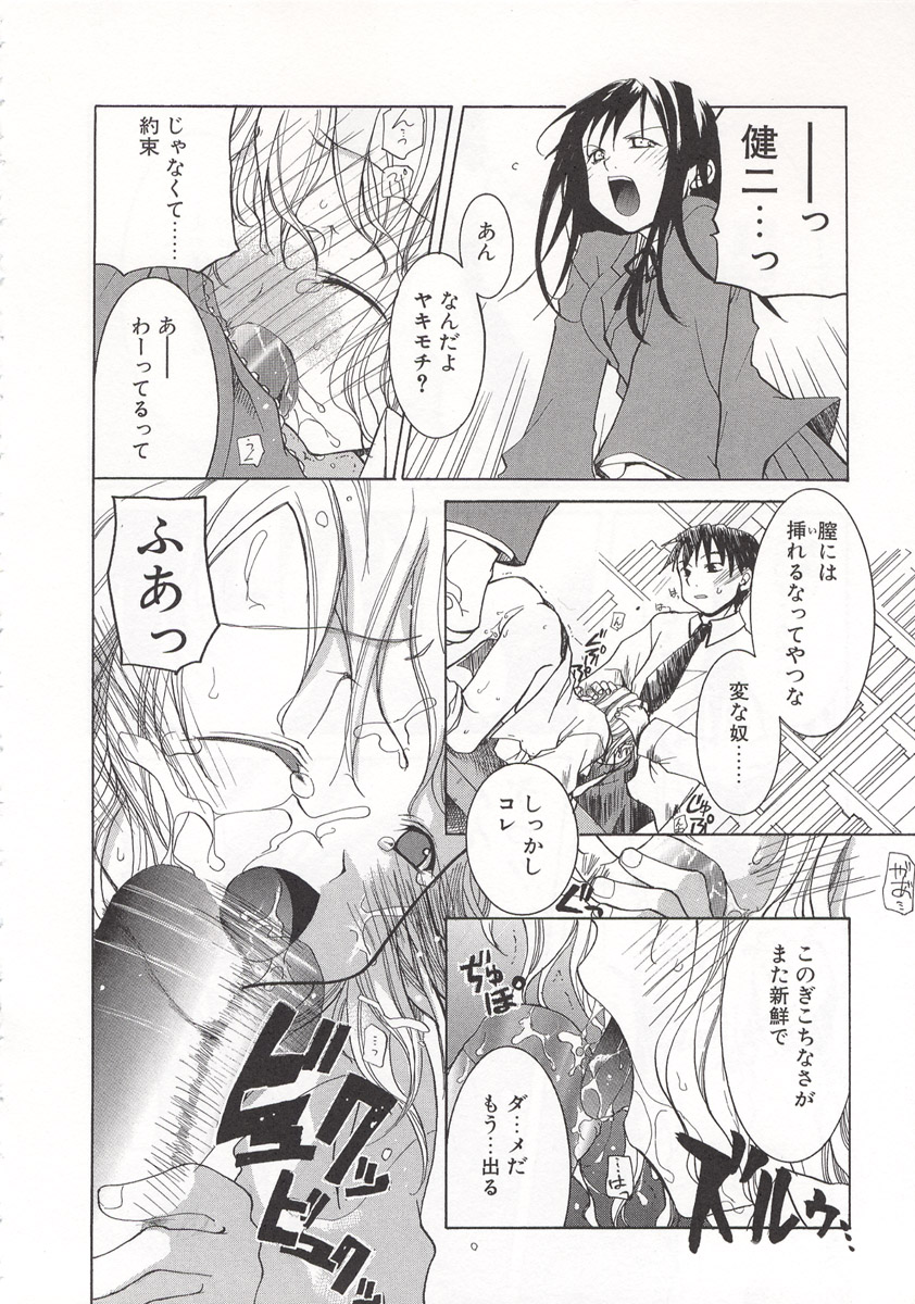 [水島空彦] ワイルドストロベリー