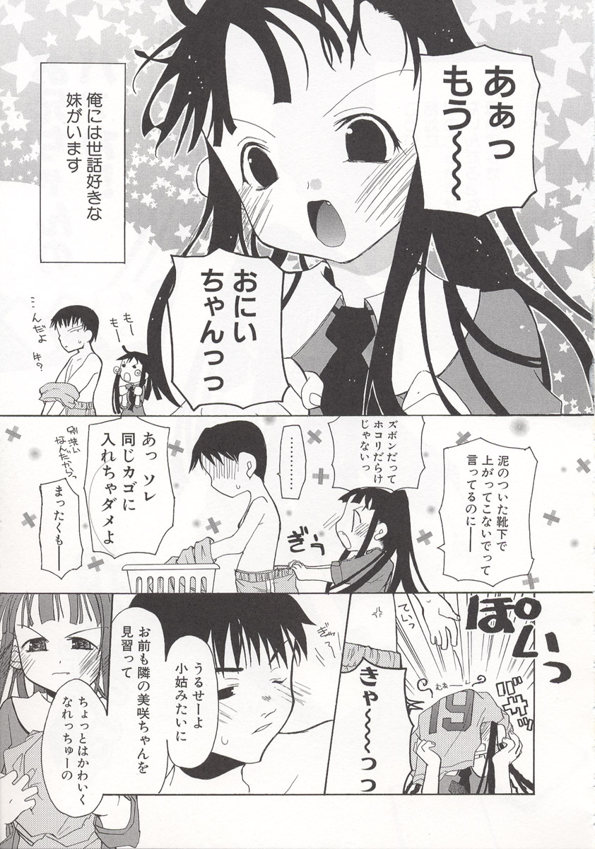 [水島空彦] ワイルドストロベリー