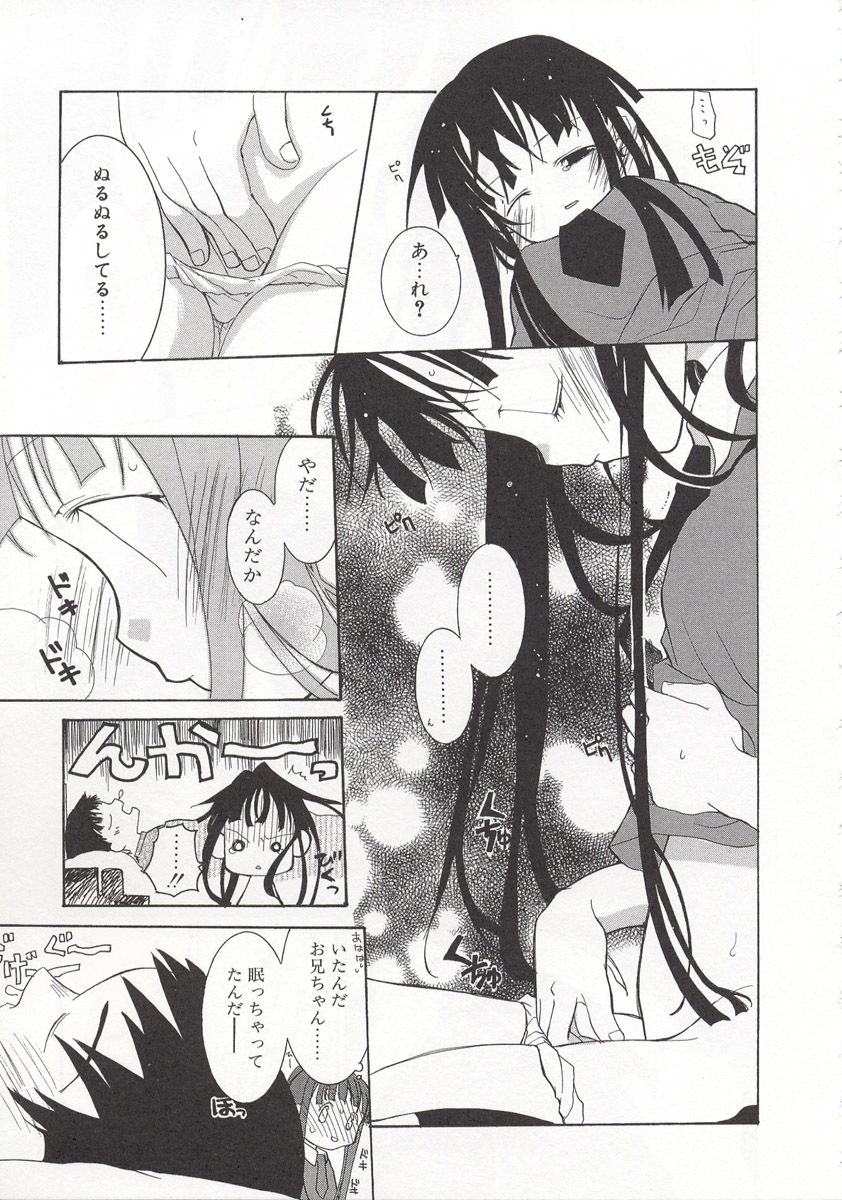 [水島空彦] ワイルドストロベリー