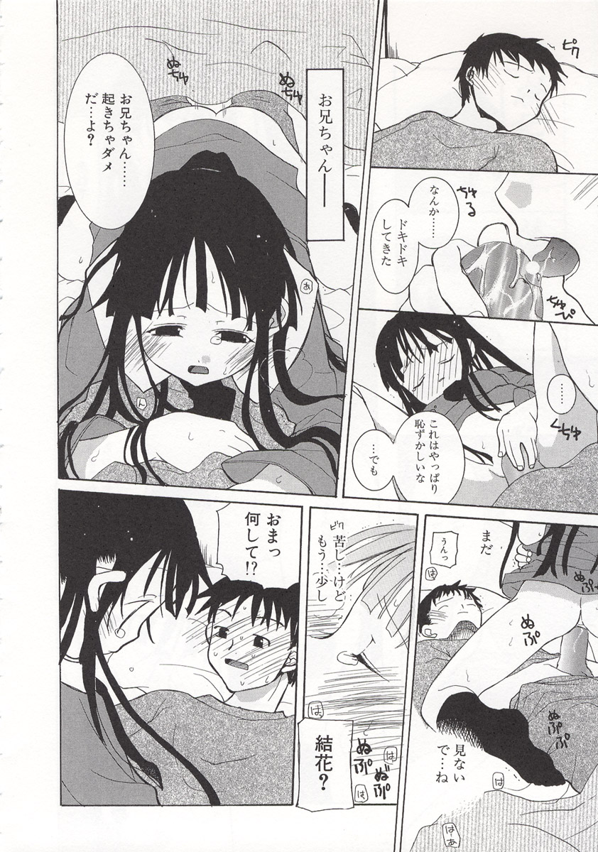 [水島空彦] ワイルドストロベリー