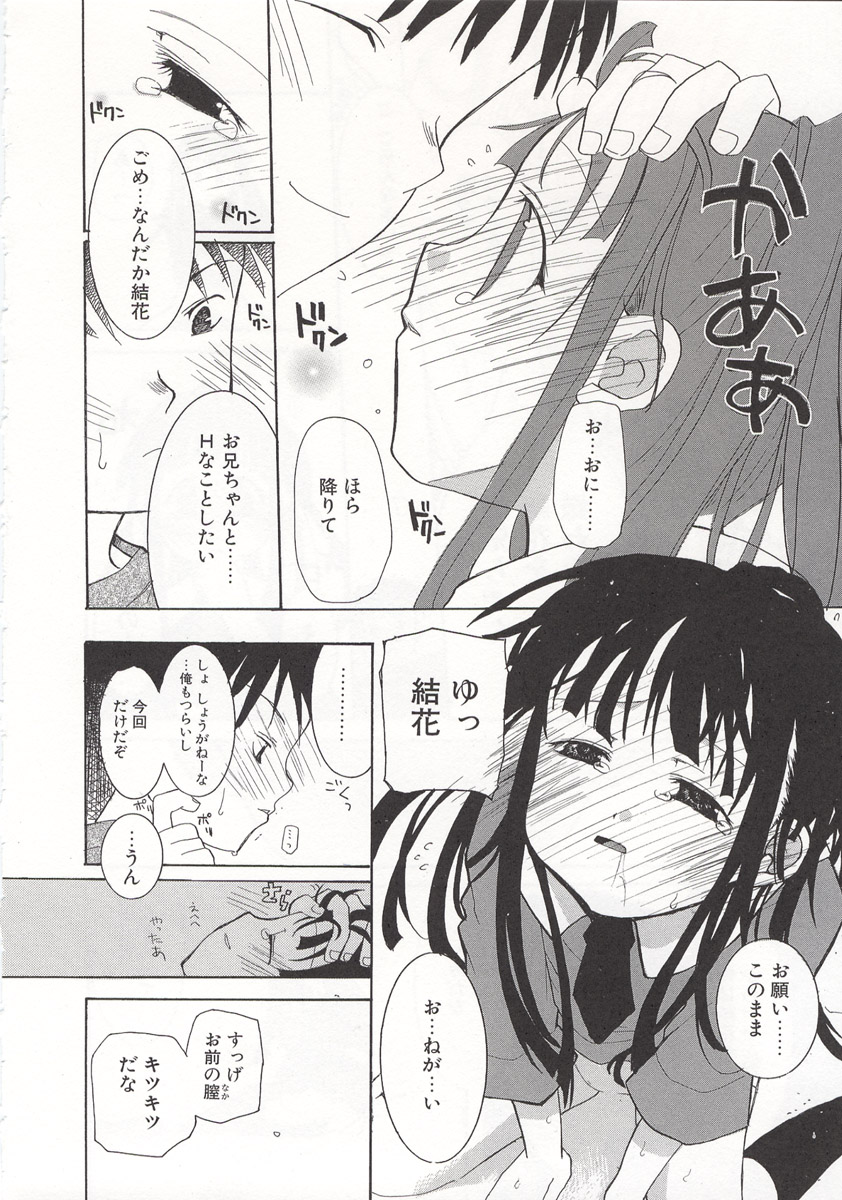 [水島空彦] ワイルドストロベリー
