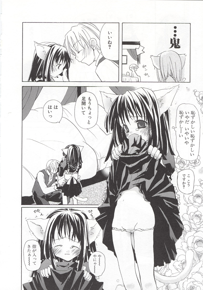 [水島空彦] ワイルドストロベリー