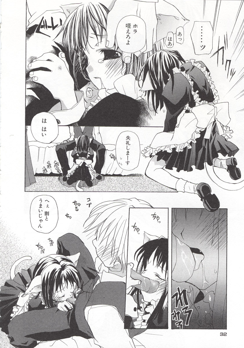 [水島空彦] ワイルドストロベリー
