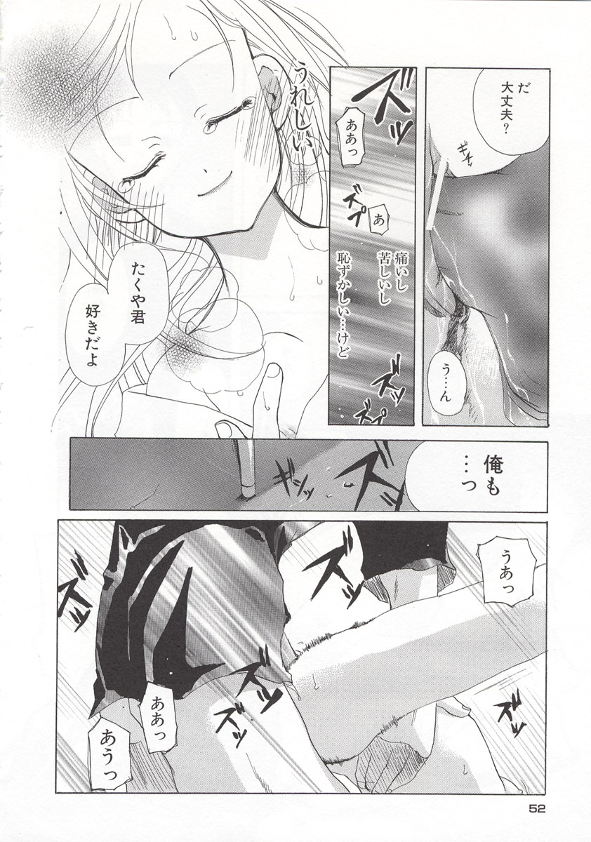 [水島空彦] ワイルドストロベリー