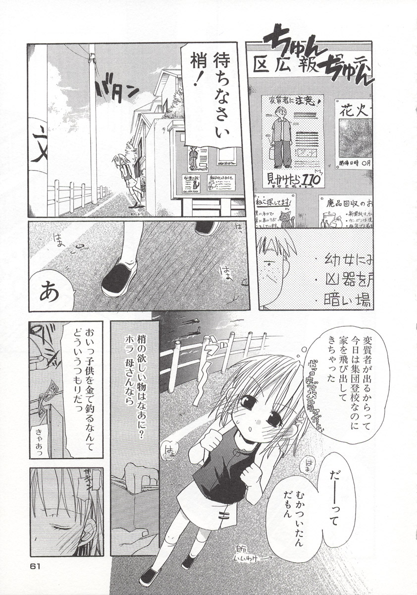 [水島空彦] ワイルドストロベリー