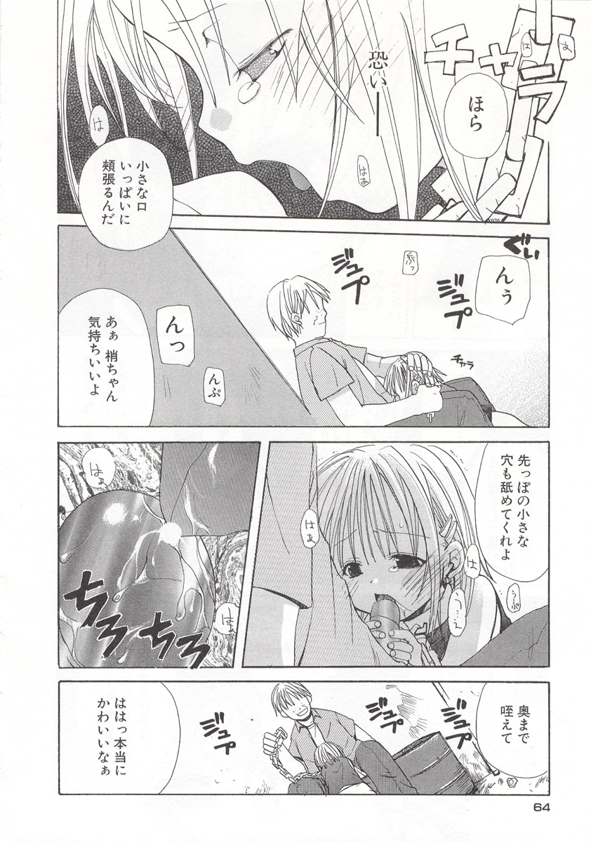 [水島空彦] ワイルドストロベリー