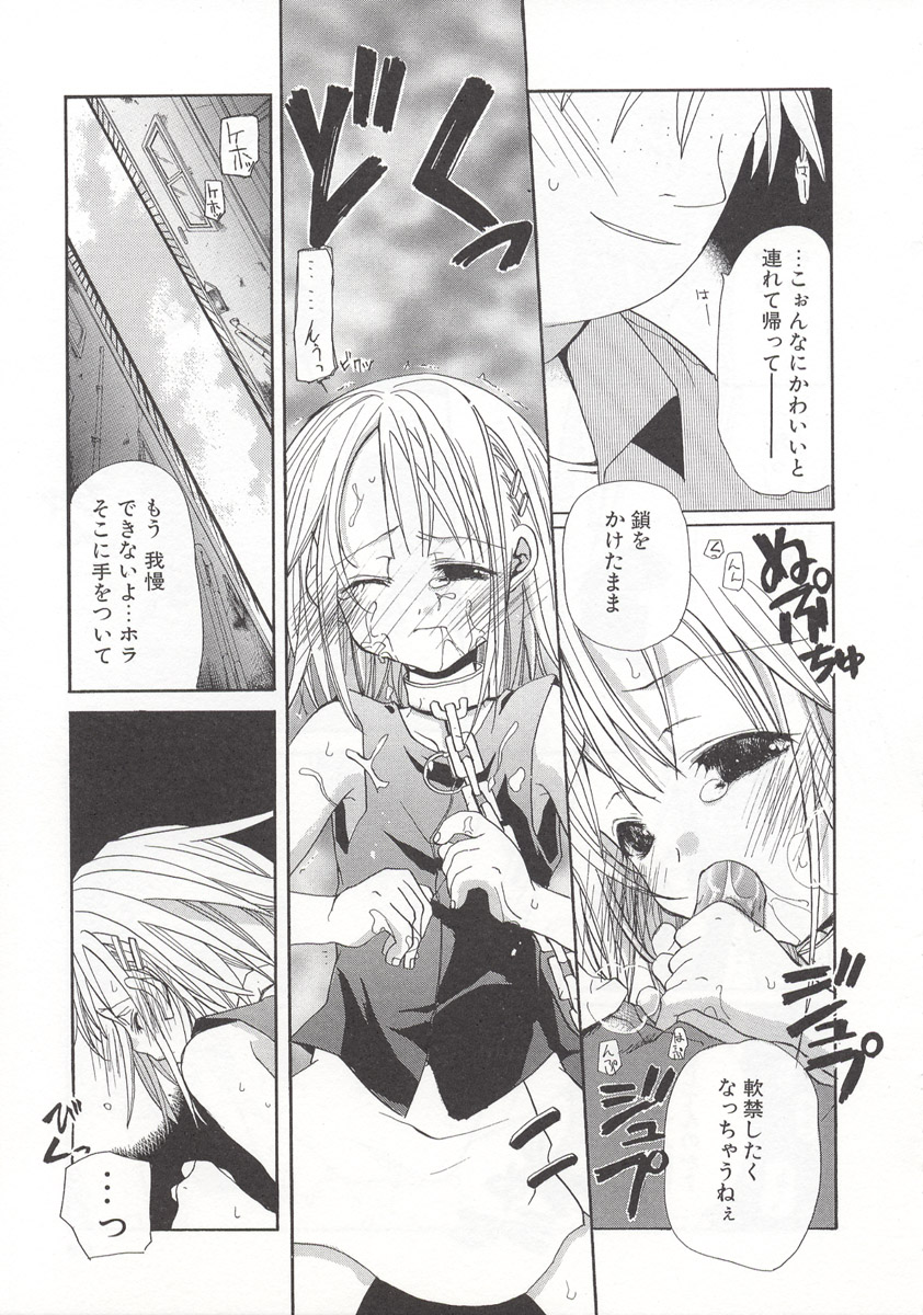 [水島空彦] ワイルドストロベリー