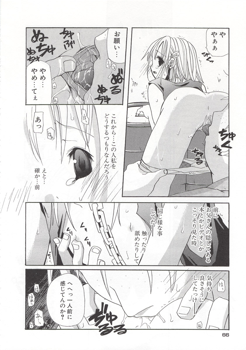 [水島空彦] ワイルドストロベリー