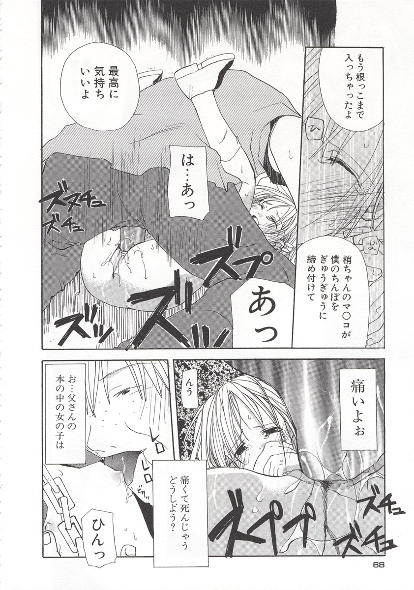 [水島空彦] ワイルドストロベリー