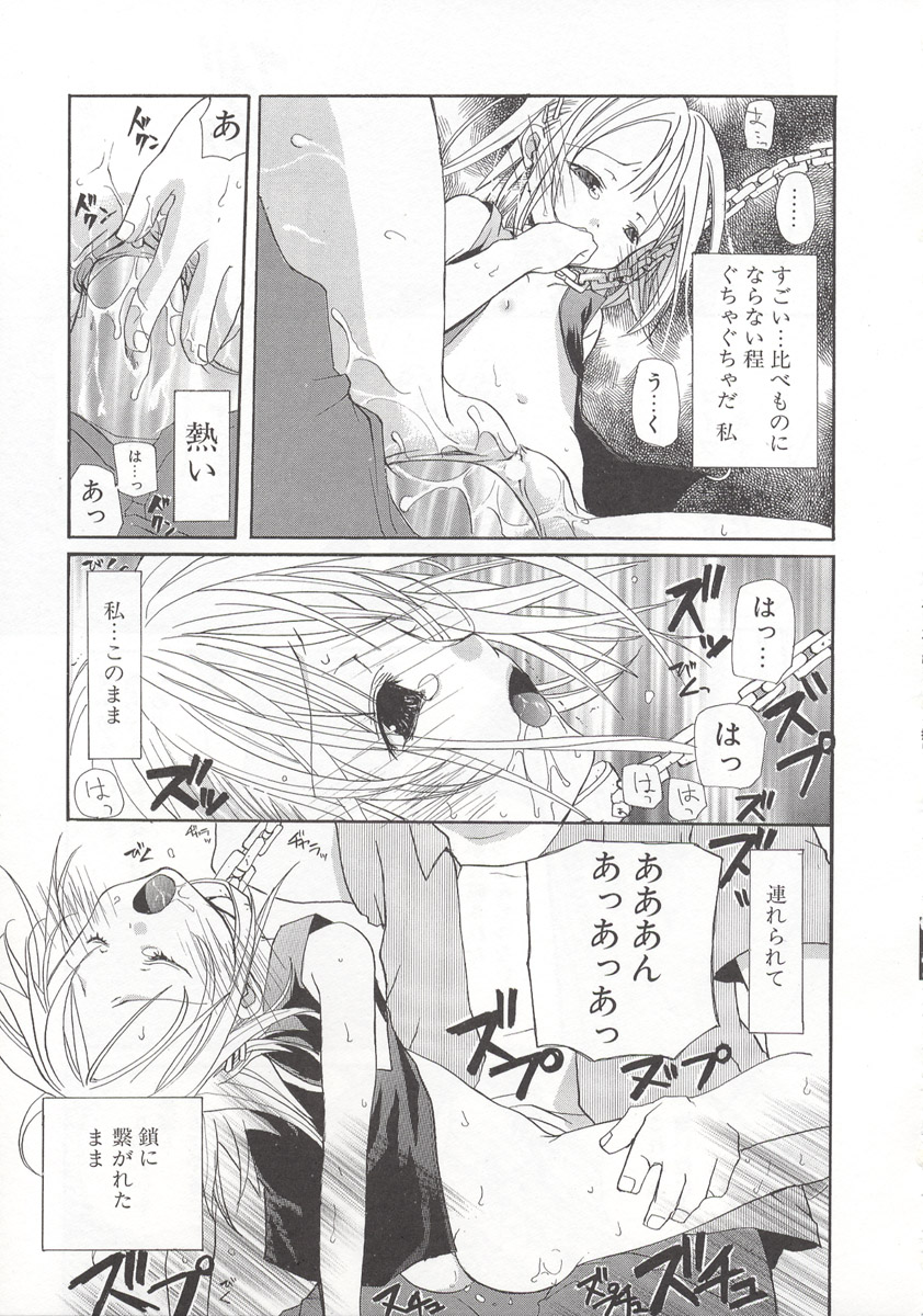 [水島空彦] ワイルドストロベリー