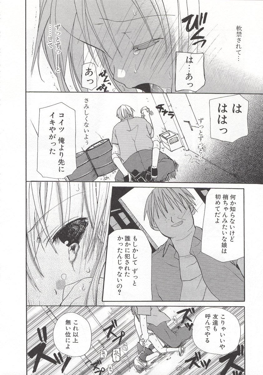 [水島空彦] ワイルドストロベリー