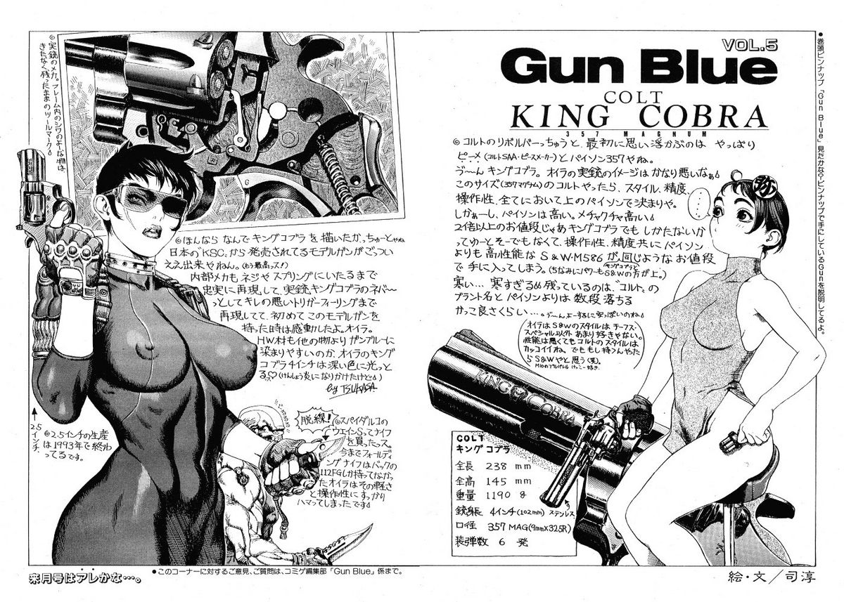 【司淳淳】ガンブルー