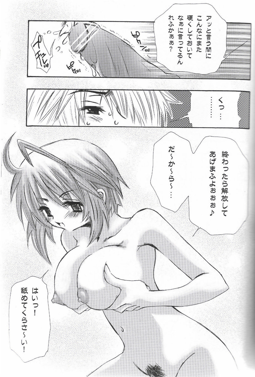 (C68) [C.Bjim (とがわはなまる)] SPACE PINKISH (機動戦士ガンダムSEED DESTINY)