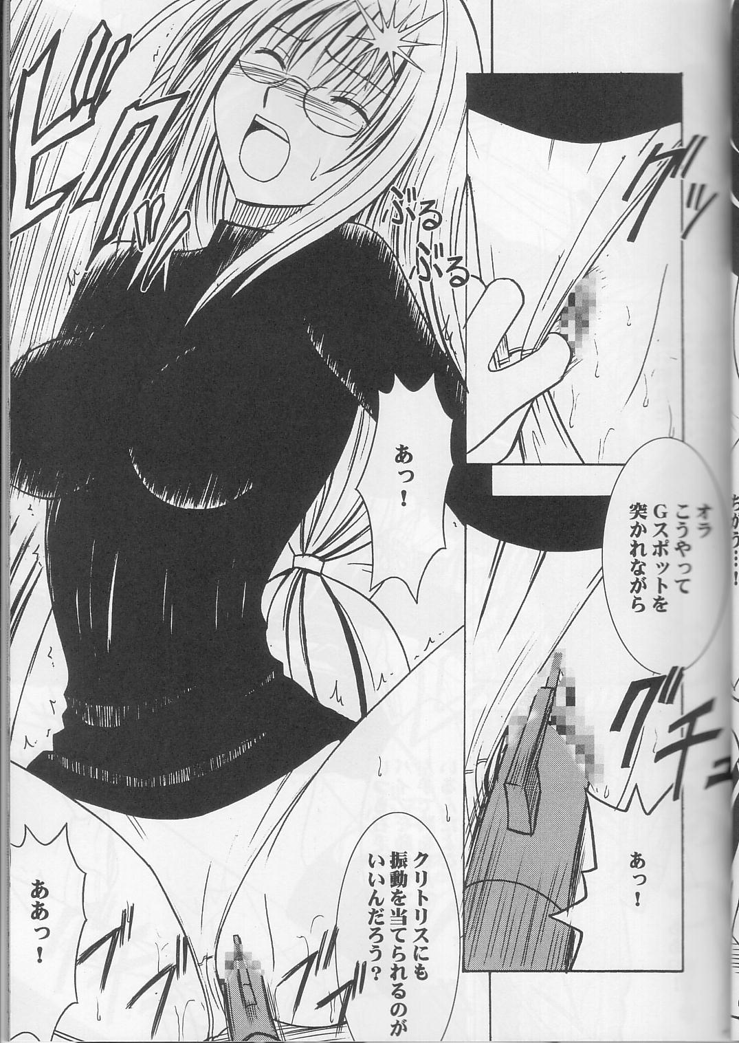 (C63) [クリムゾンコミックス (カーマイン)] ティアーユの悲劇 (ブラックキャット)