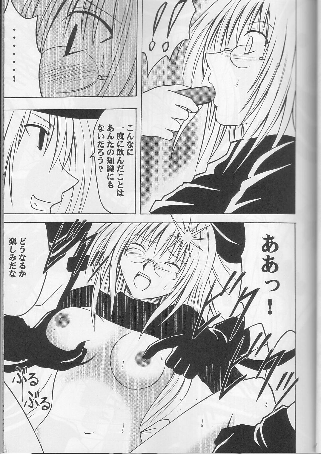 (C63) [クリムゾンコミックス (カーマイン)] ティアーユの悲劇 (ブラックキャット)