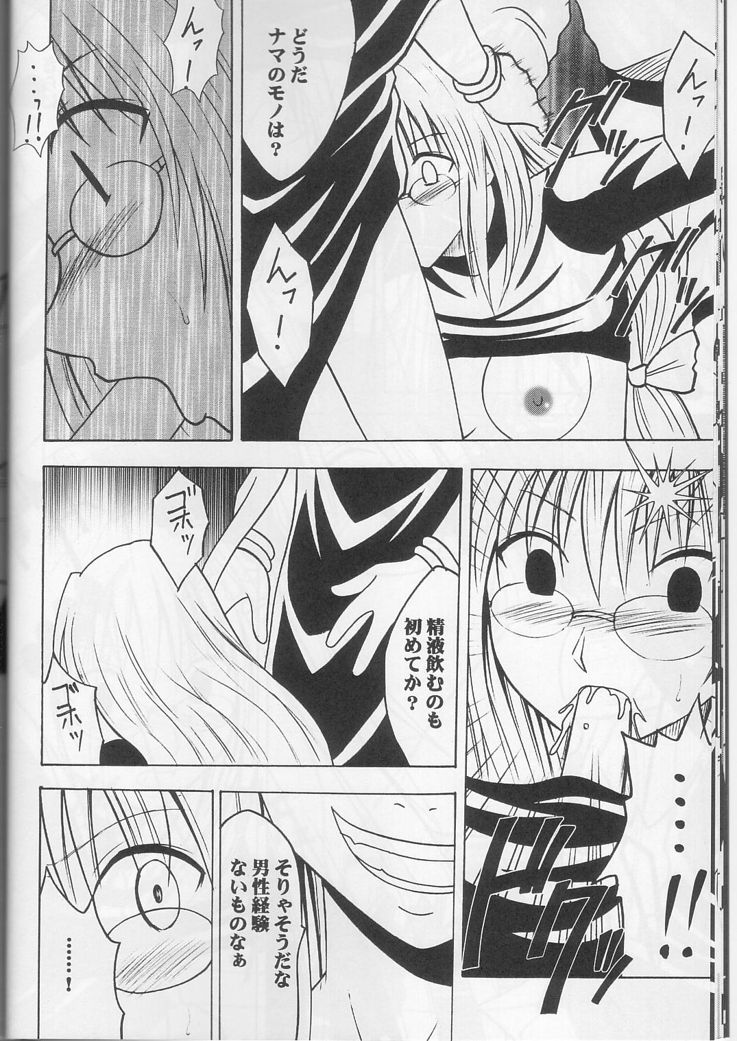 (C63) [クリムゾンコミックス (カーマイン)] ティアーユの悲劇 (ブラックキャット)