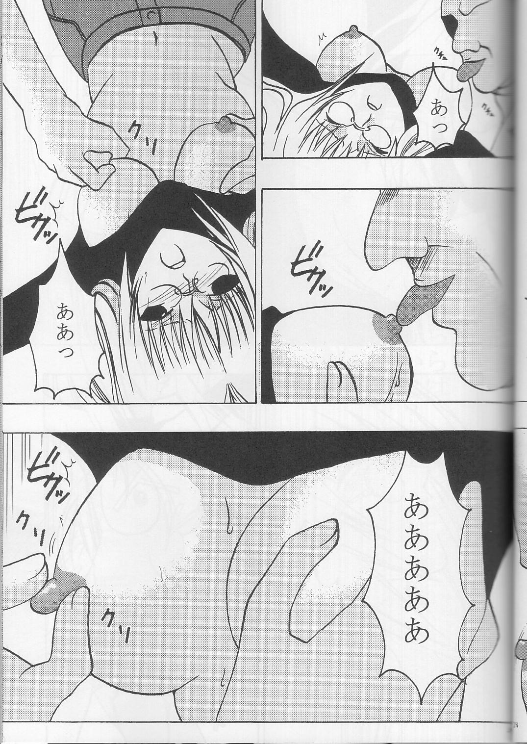 (C63) [クリムゾンコミックス (カーマイン)] ティアーユの悲劇 (ブラックキャット)