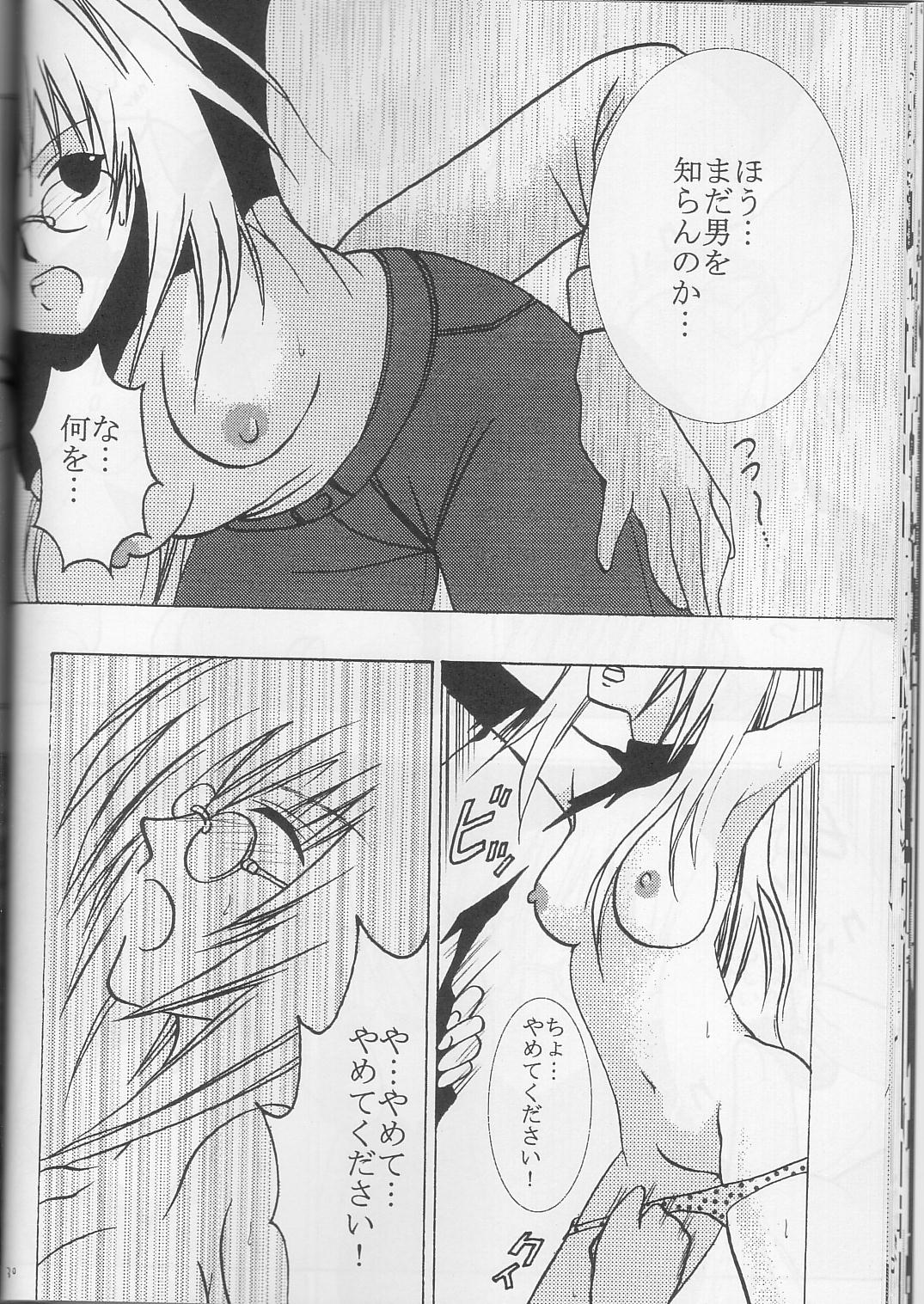 (C63) [クリムゾンコミックス (カーマイン)] ティアーユの悲劇 (ブラックキャット)