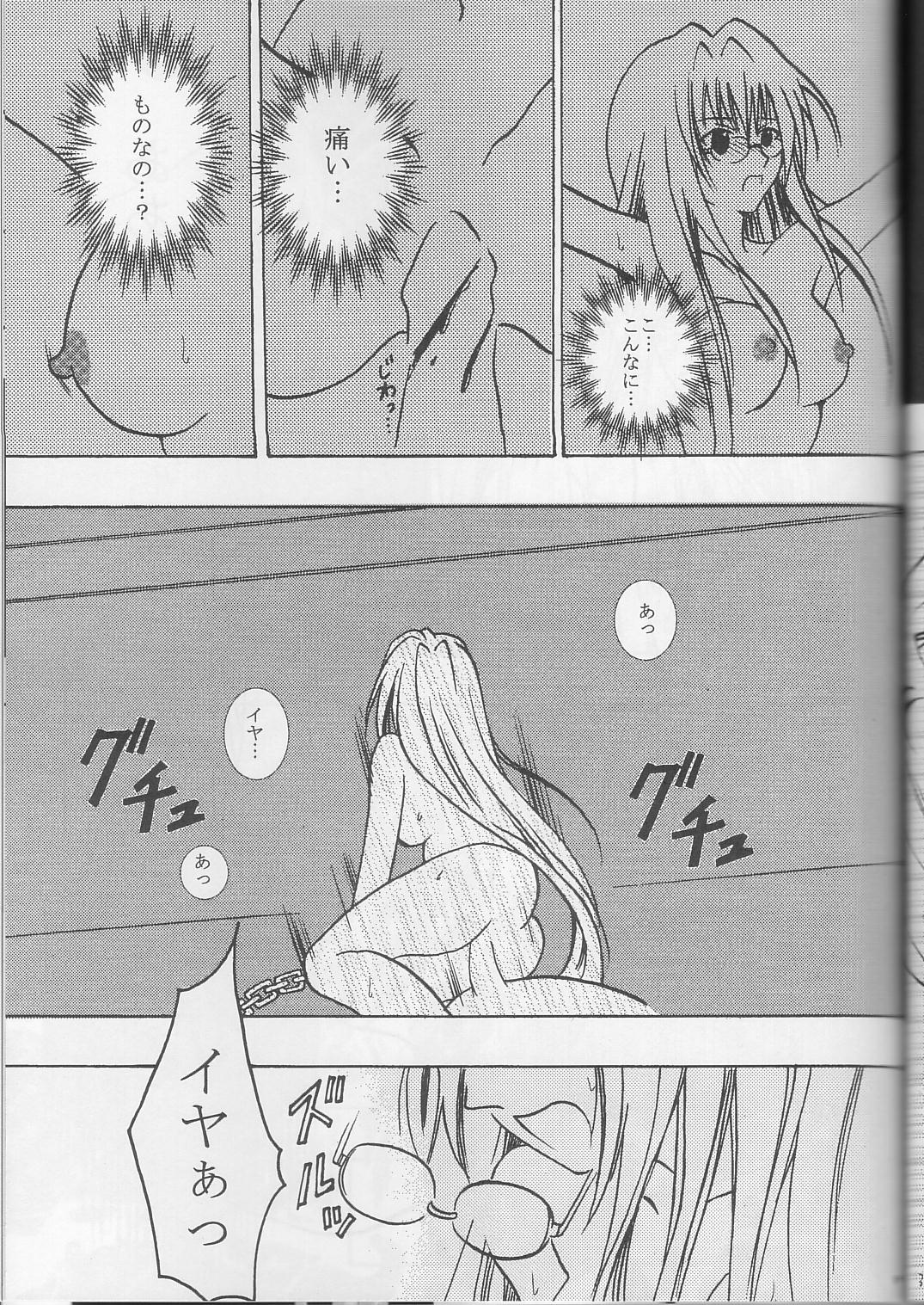 (C63) [クリムゾンコミックス (カーマイン)] ティアーユの悲劇 (ブラックキャット)