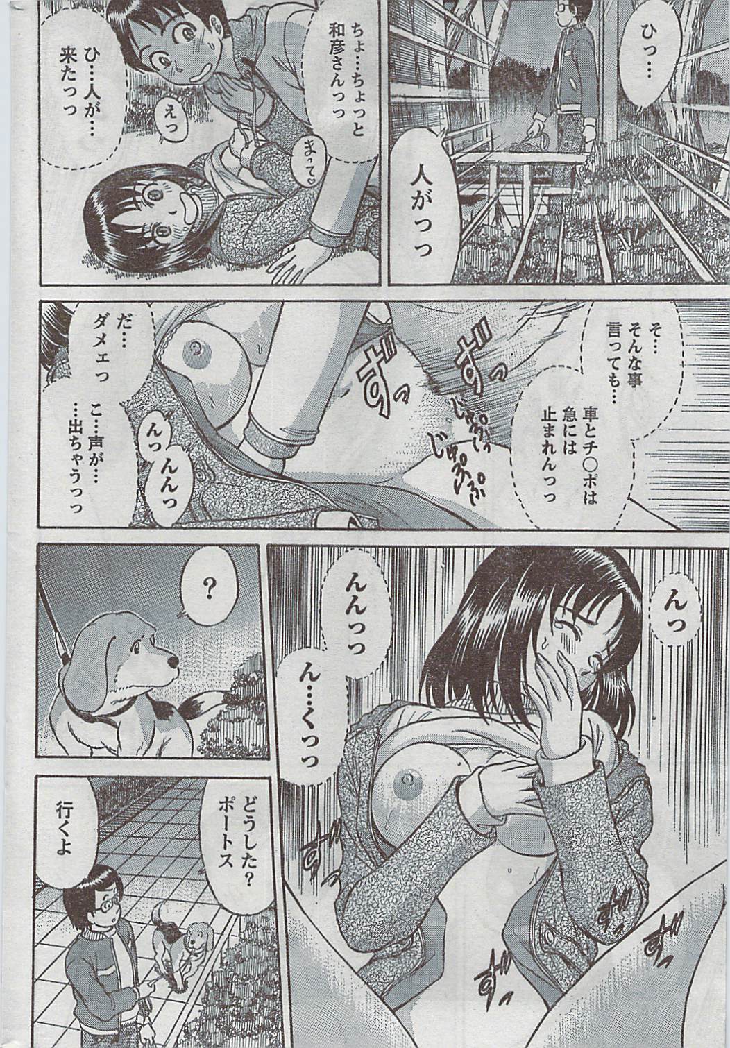 月刊 ビタマン 2009年3月号