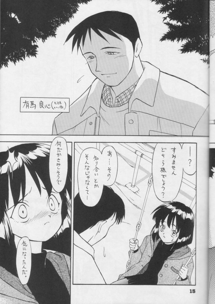 【日本ワルワル同名】風光のぜんやさい【セーラームーン】