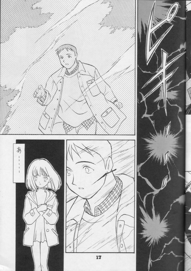【日本ワルワル同名】風光のぜんやさい【セーラームーン】