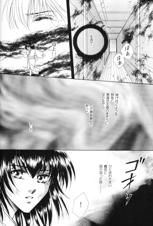 白蓮-十兵衛一樹