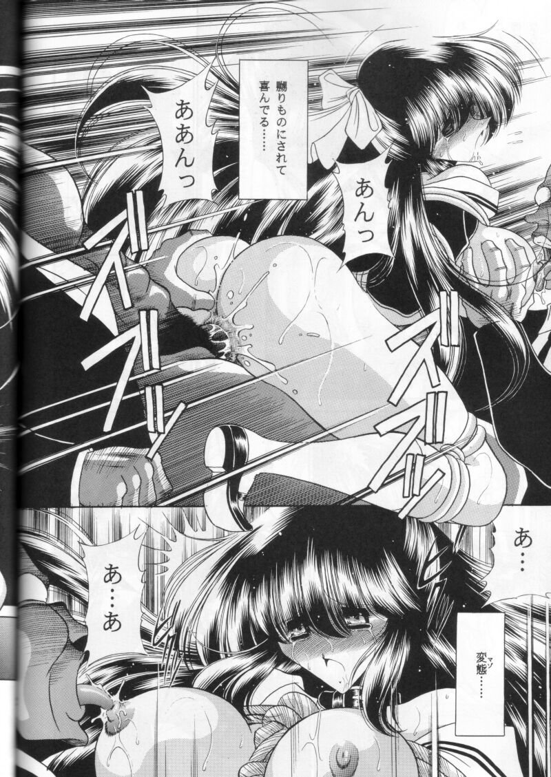 (C58) [サークル太平天国 (堀川悟郎)] 第二姦
