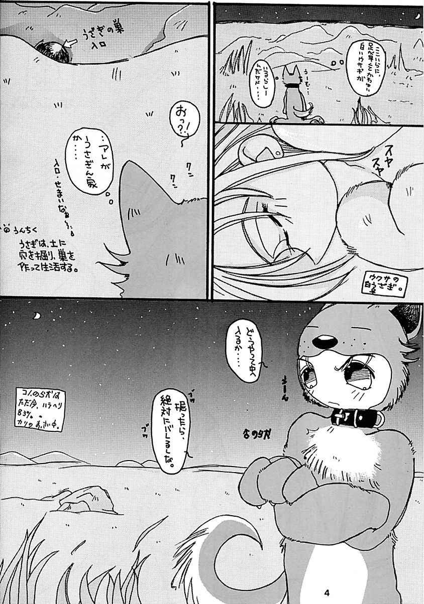 (Cレヴォ28) [釣りキチ同盟 (よろず)] 天を斬る Nan Demo-R (コレクター・ユイ, ラブひな)