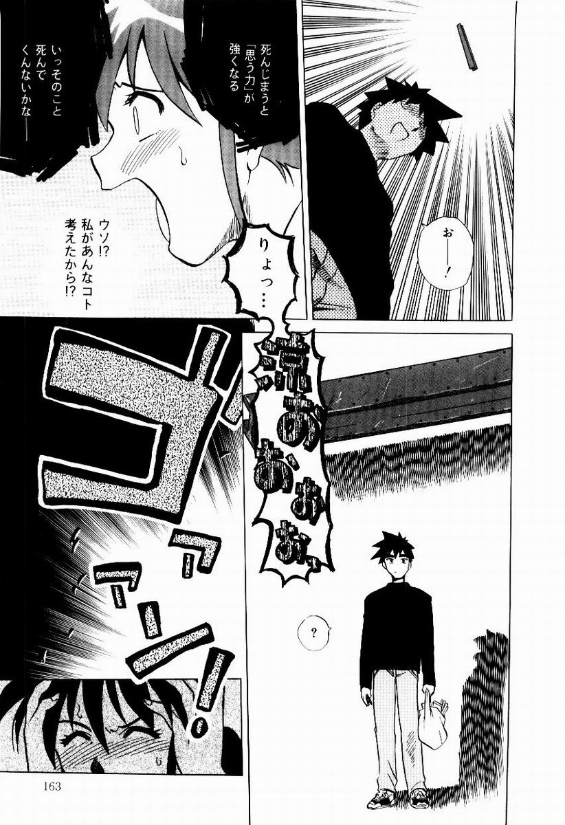 [馬波平] 新触感娘