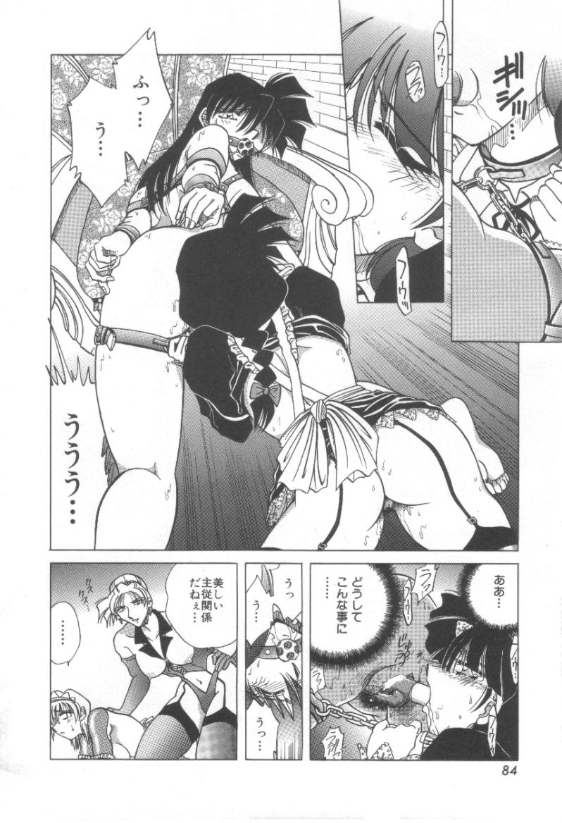 [SHIZUKA] 令嬢飼育 堕天使達の宴