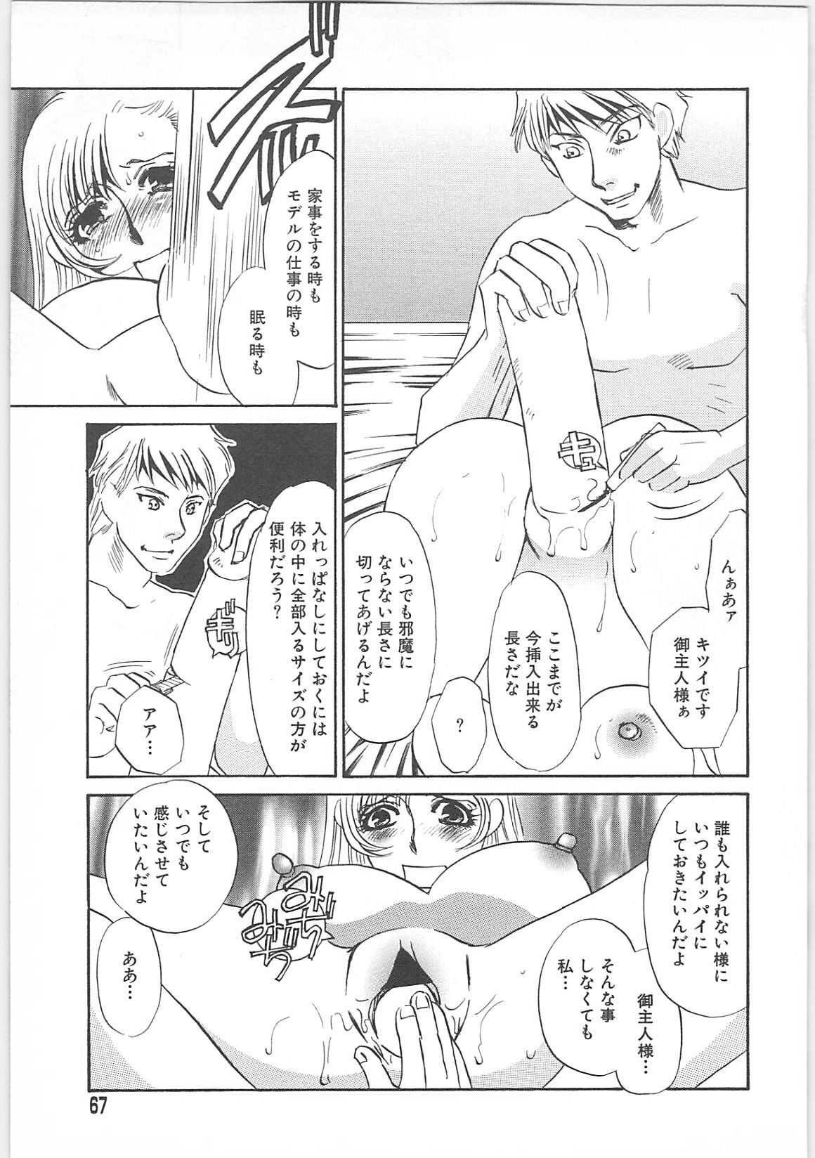 [海野やよい]義母奴隷奈美子