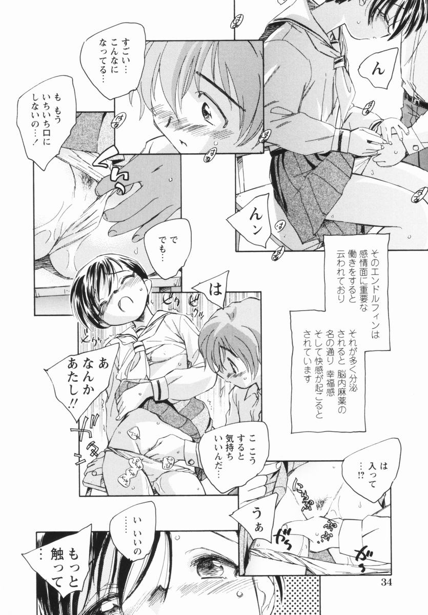 [海野螢] 少女の異常な愛情