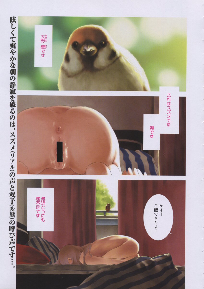 コミックメガストア 2005年10月号