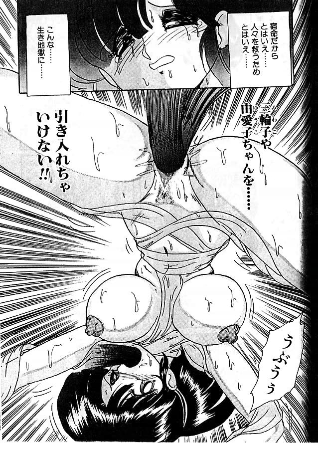 [上藤政樹] 精霊特捜フェアリィセイバー 影闘編