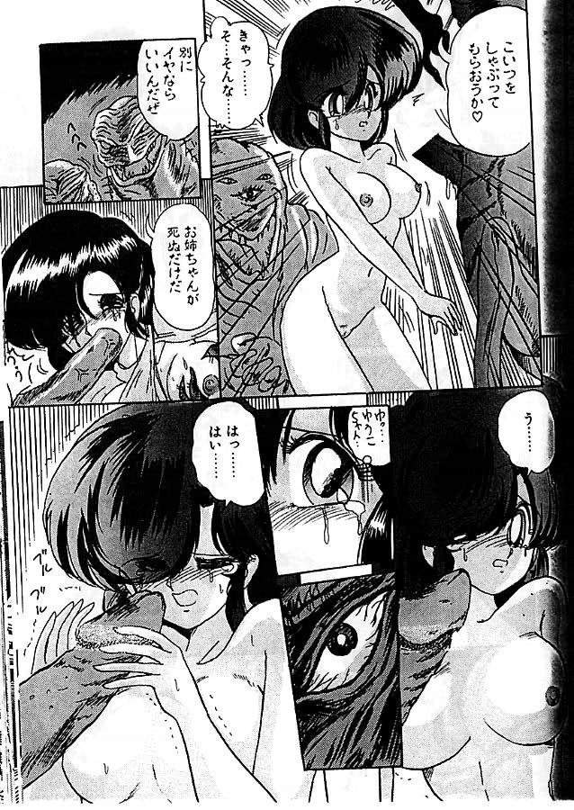 [上藤政樹] 精霊特捜フェアリィセイバー 影闘編