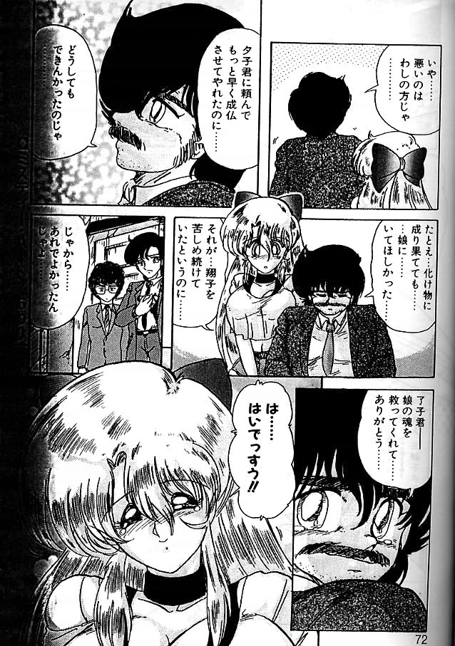 [上藤政樹] 精霊特捜フェアリィセイバー 影闘編