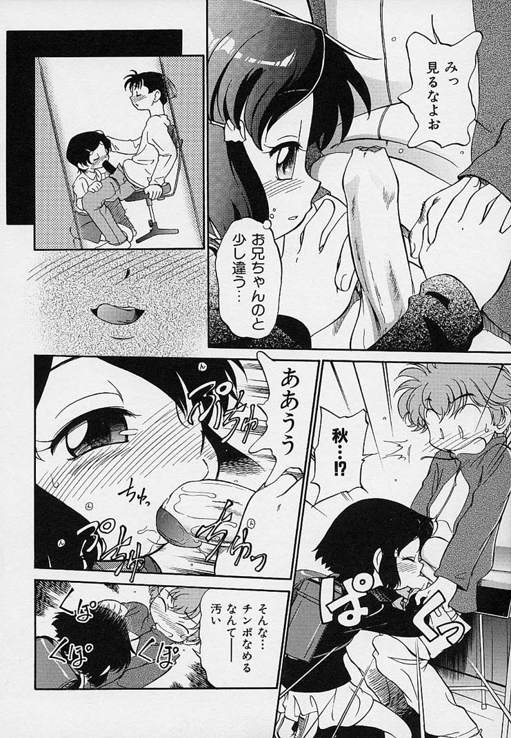 [魔訶不思議] 雛迷宮