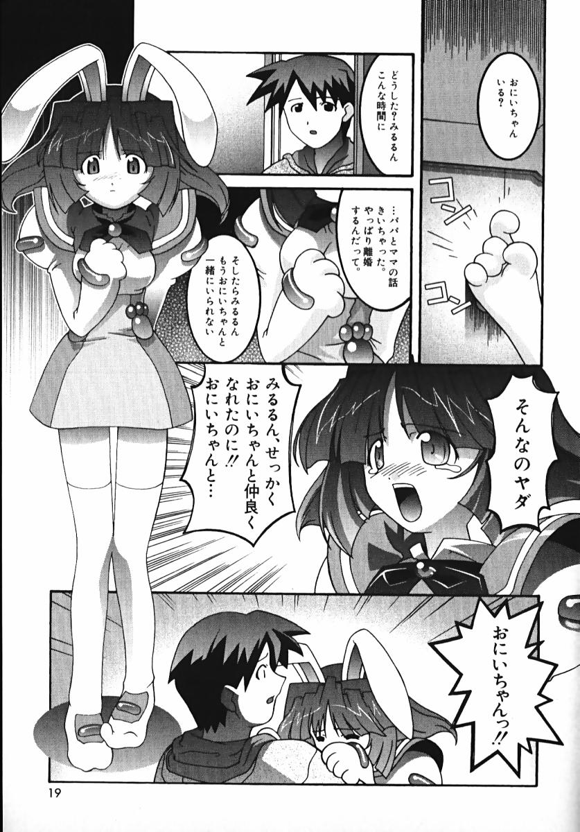 [ひめはち] ラジカるベクトる